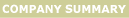 Company summary
