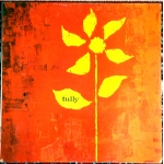 Tully /Same 1st LP Rare Australian Prog/Psych OZ POKORA 