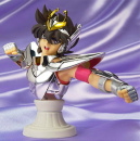 Appendix Pegasus Seiya