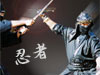 From the Ninja Village
